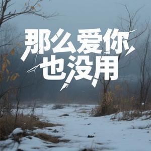 那么爱你也没用