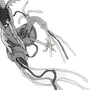 EVERLASTING FRIENDSHIP