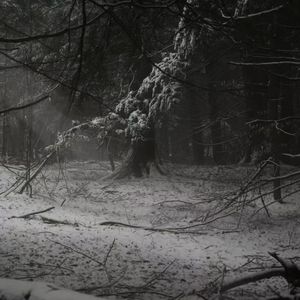 痛瘾（prod by Vanverse）