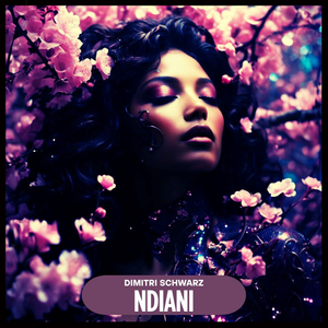 Ndiani (Extended Mix)