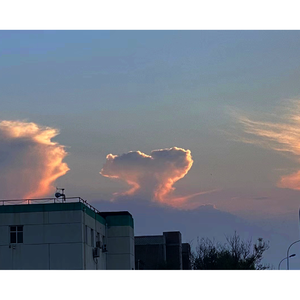 Missing Your Heartbeat