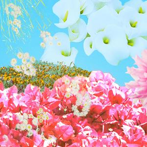 Stainless Steel Seagulls