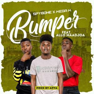 Bumper