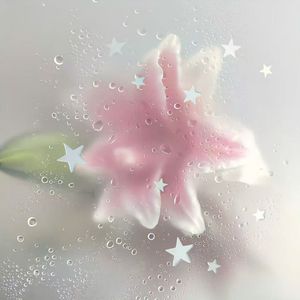 《缓存中的春天》
