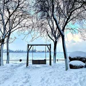 好想去见你一面