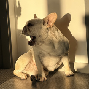 潘多拉(Rock&Hip HoP）