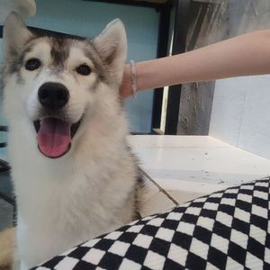 来不及_（cover刘瑞琪）