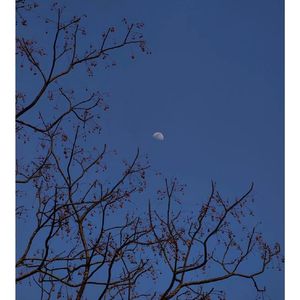 夜幕下的叹息