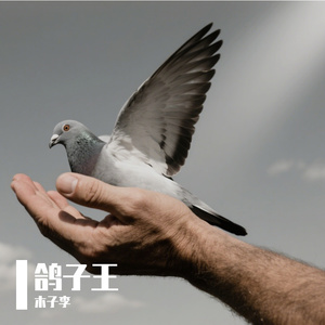 鸽子王