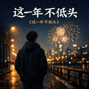 这一年，不低头