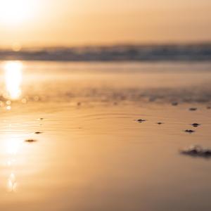 寂静之声(轻音乐)