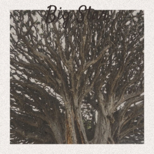 What´cha Gonna Do Now