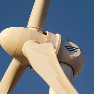 Gold Wind Gold Wind Go（金色的风）