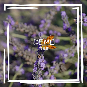 最佳措辞（demo）