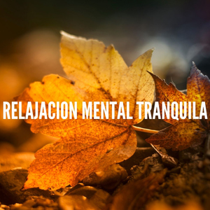 Relajacion Mental Tranquila