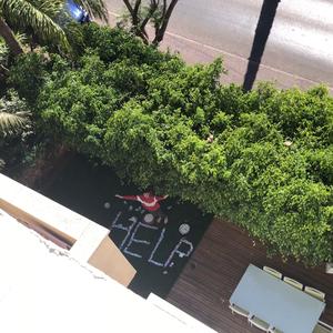 אמרתילביטוחלאומישאיןליעבודה