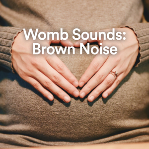 Pregnant Flow Noise