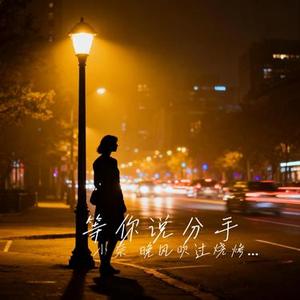 等你说分手