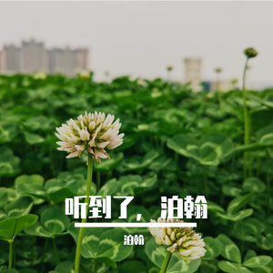 童心未泯的潘达