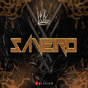 Saveiro