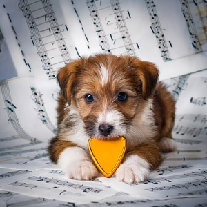 Relaxation With Four Legs