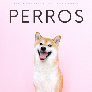 Perros y Gatos Alegres
