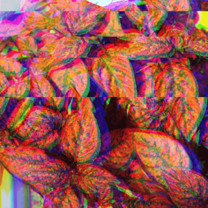 Lottydotty (Remix Instrumental)