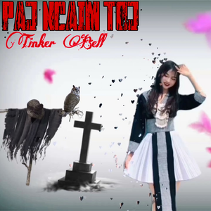 Paj ncaim toj(Mixer version)
