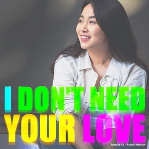 I Don't Need Your Love