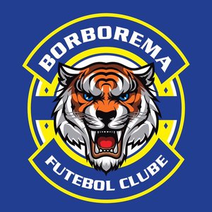 Borborema Futebol Clube