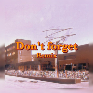 Don't forget (Remix)
