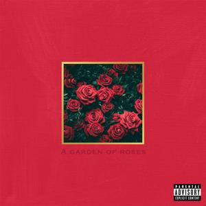 A garden of roses