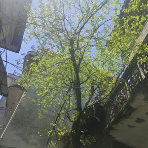 到来的夏天