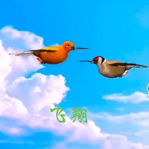 流浪他乡的人儿