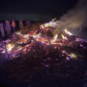 pull the tempo (skit)