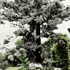 Tshaba Fo! (Freestyle)