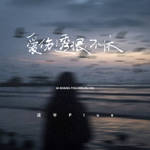 爱伤透恨不休 (DJ豪大大版)