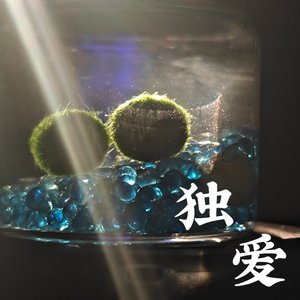 独爱（feat.星尘）