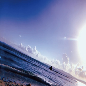 The mami cima (feat. basasi, Ladybug & Dt.キッズ)