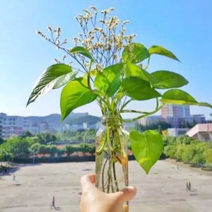 美好事物（Cover 房东的猫）