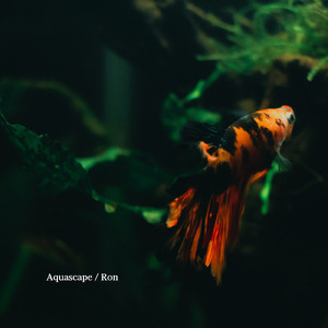 Aquascape (Short Ver.)