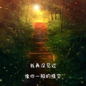 我再没见过 像你一般的晴空