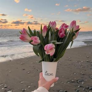 美丽的神话(抖音版)