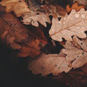 A Través Del Oceano