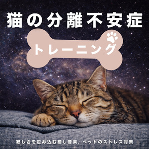 癒し音楽-マインドフルネス瞑想-