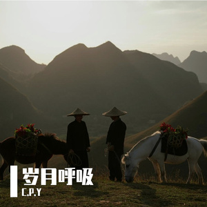 岁月呼吸