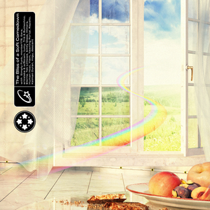 Waterlogged Reality Core