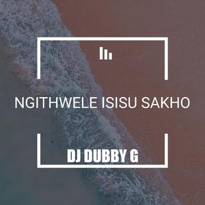 Ngithwele Isisu Sakho