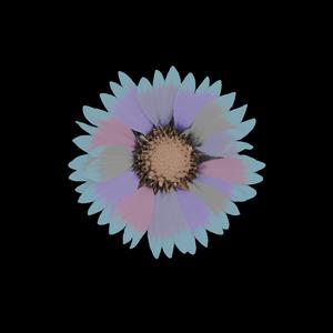 Solstice (Cottonbelly Dub) (feat. Breymer & Cottonbelly)