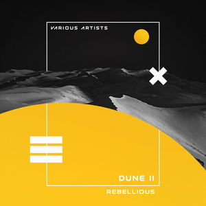 You Are Under Control (Original Mix)